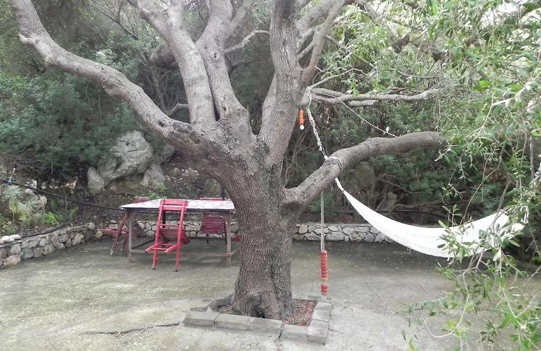 B&B S'Archiotta-1